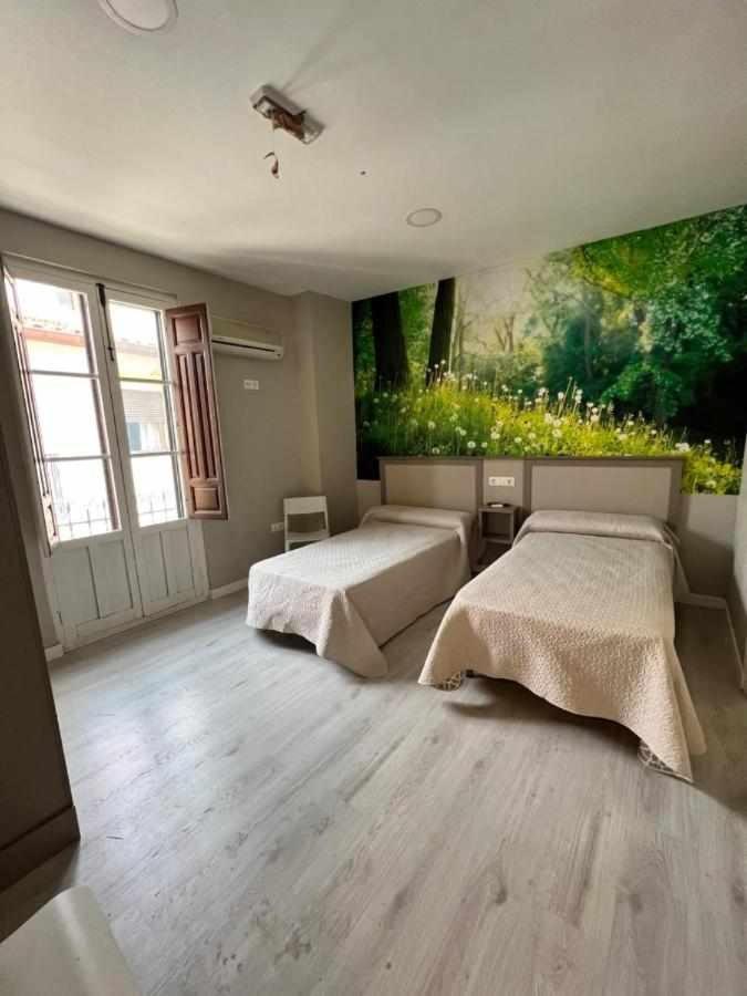 Hostal Viena Plaza Nueva Granada Kültér fotó